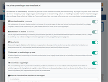 Tablet Screenshot of installatie.nl